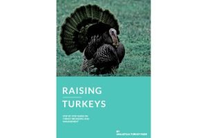 Raising Turkey eBook